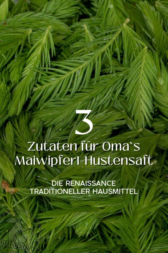 Omas Maiwipferl-Hustensaft-Rezept